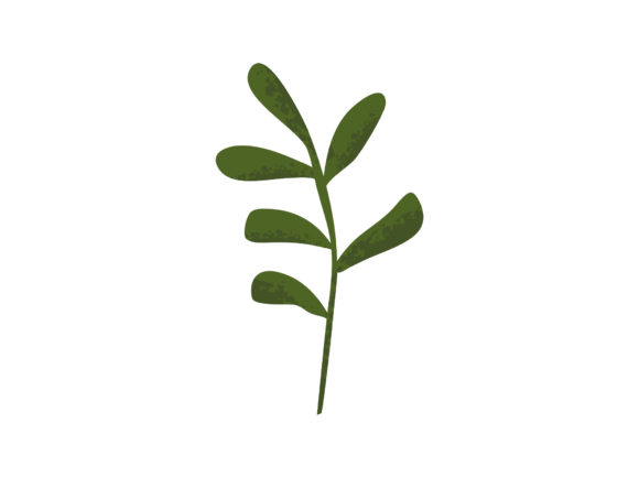 Download Leaves Decorative Elements Illustration - Illustration Collection