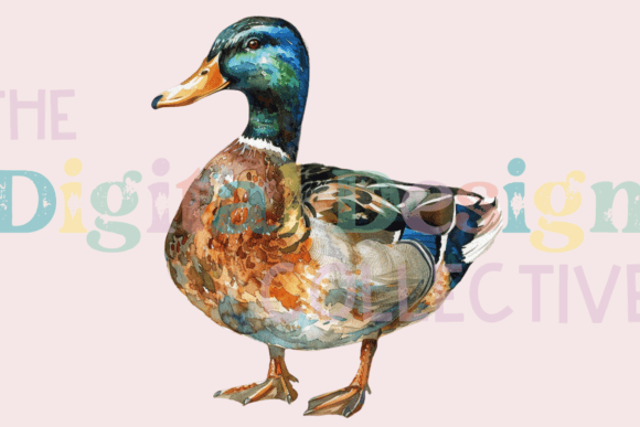 Download Mallard Duck Clipart PNG - Duck clipart Collection
